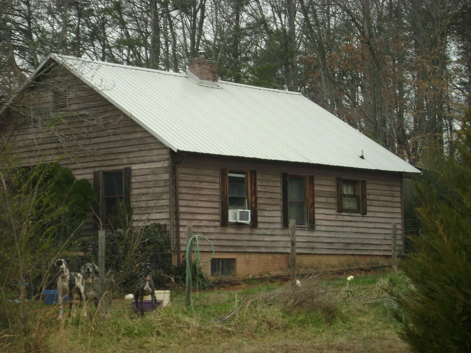 White metal roof on an old wood sided farmhouse, from a Asphalt Shingle Roof Repair job in Sugar Grove